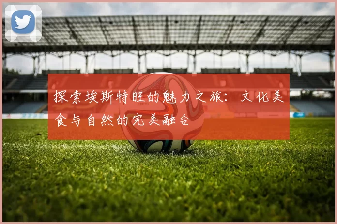 探索埃斯特旺的魅力之旅：文化美食与自然的完美融合