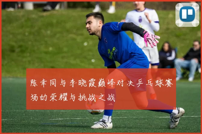 陈幸同与李晓霞巅峰对决乒乓球赛场的荣耀与挑战之战