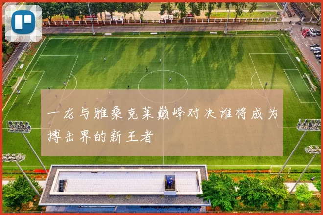 一龙与雅桑克莱巅峰对决谁将成为搏击界的新王者