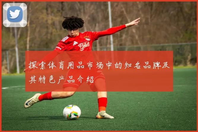探索体育用品市场中的知名品牌及其特色产品介绍