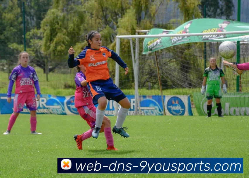 App Interface Preview